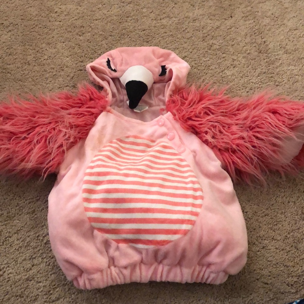 Flamingo Baby Outfit